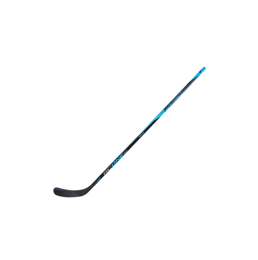 Fischer RC ONE IS1