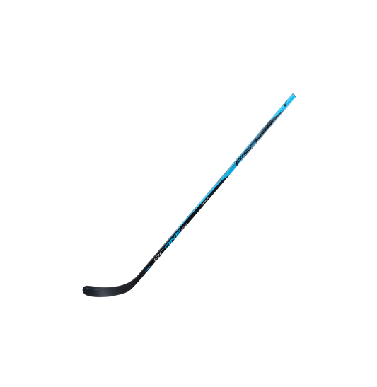 Fischer RC ONE IS2